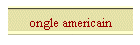 ongle americain